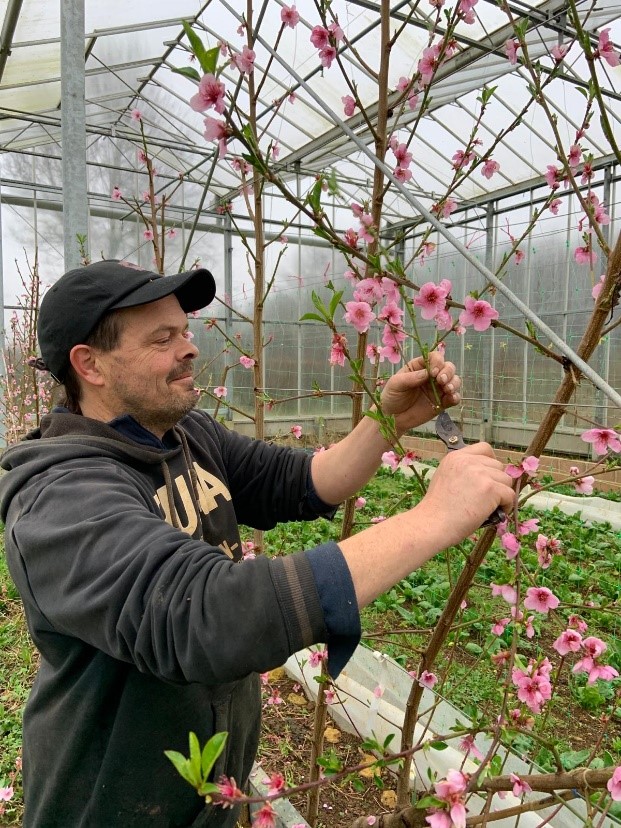 Andy Dibben in the glasshouse at Abbey Home Farm