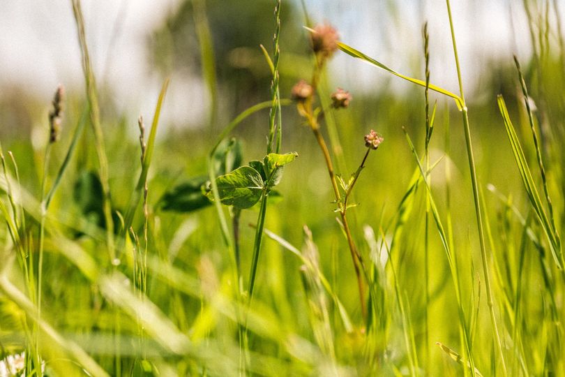 Arable 7