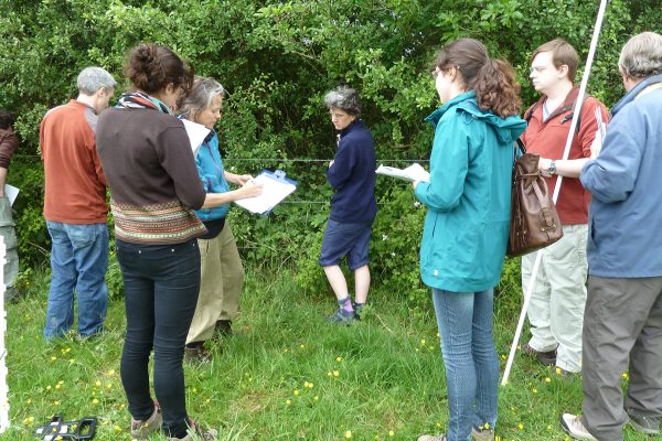 Assessing hedgerows for biodiversity