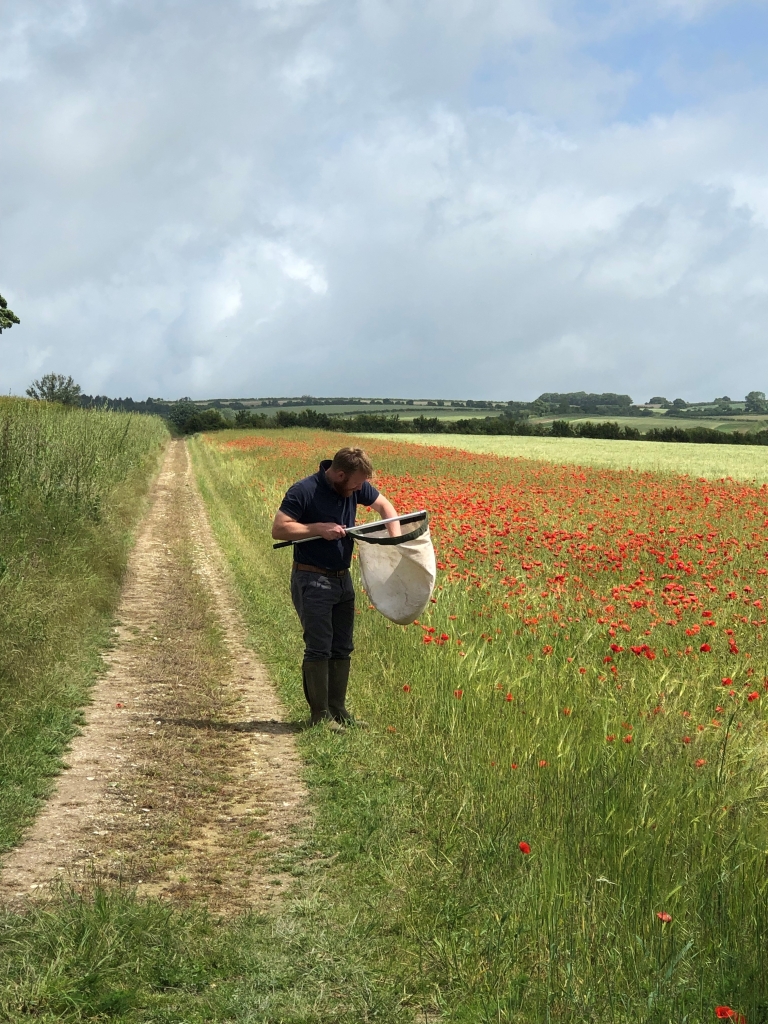 Charlie Mellor carrying out an insect sweep