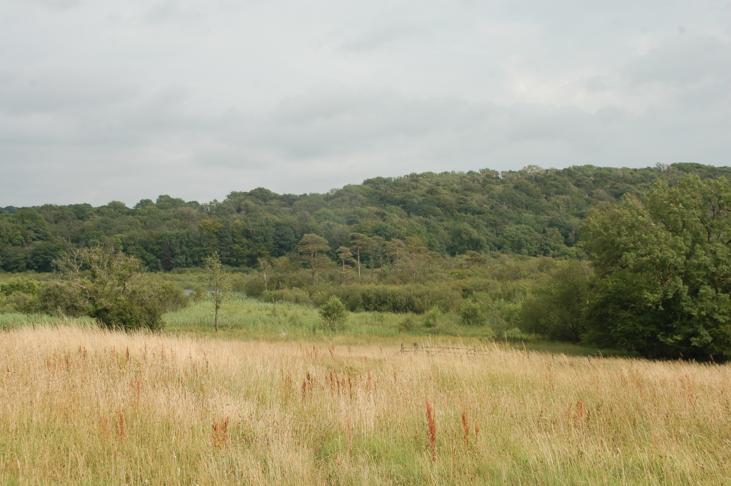 Gait Barrows National Nature Reserve - where grazing is needed to maintain the habitat around Hawes Water