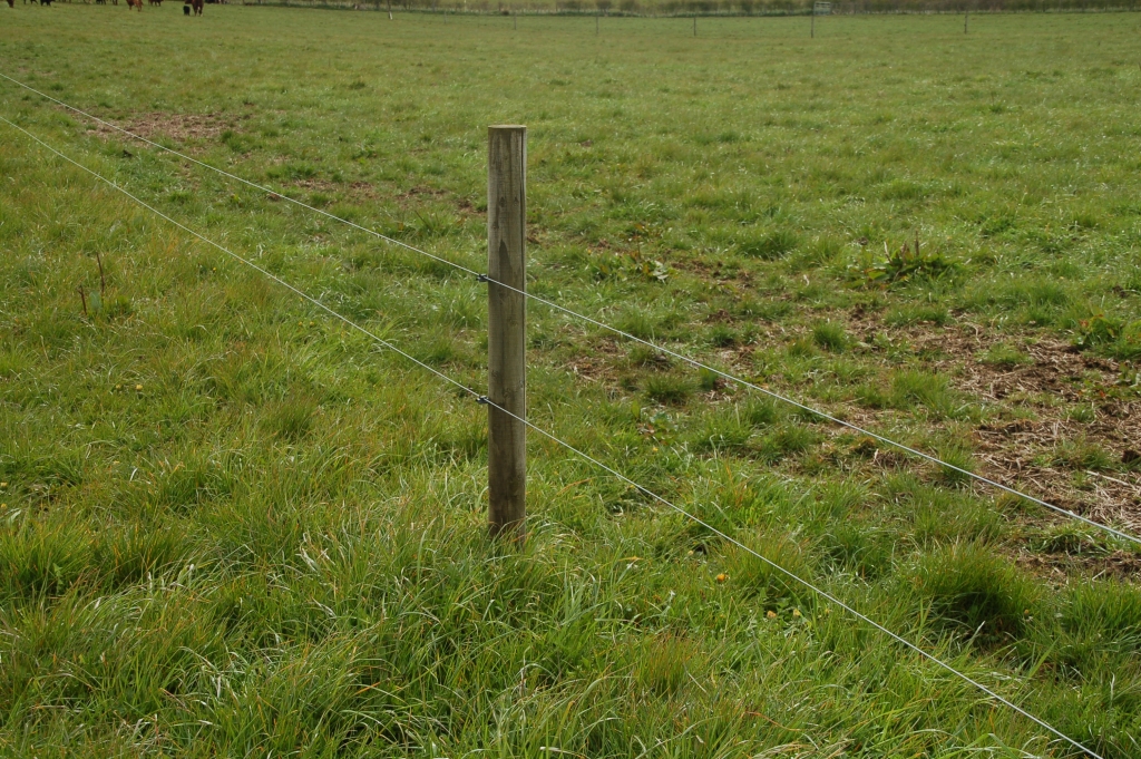 Grass difference