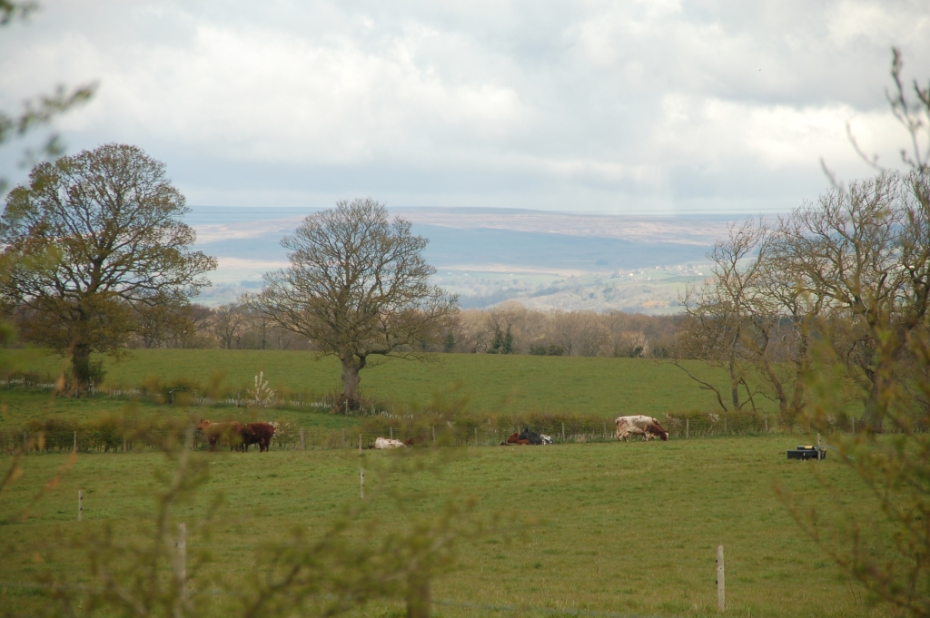 Hills in distance