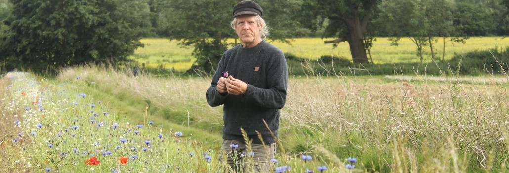 Iain Tolhurst_pic1