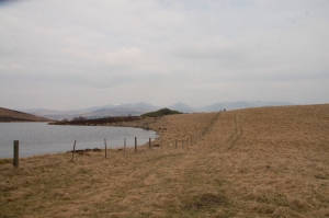 Loch Tummel – down the hill from the 4ha area used by sheep - showing brackeny ground that was heather