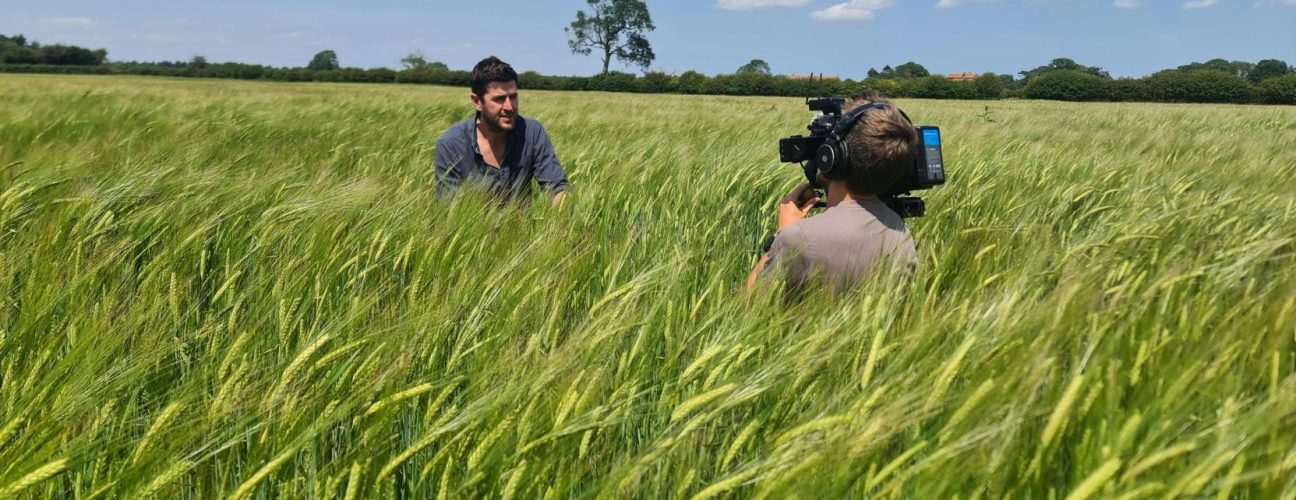 Matt England in a cereal field being filmed for the living mulch video