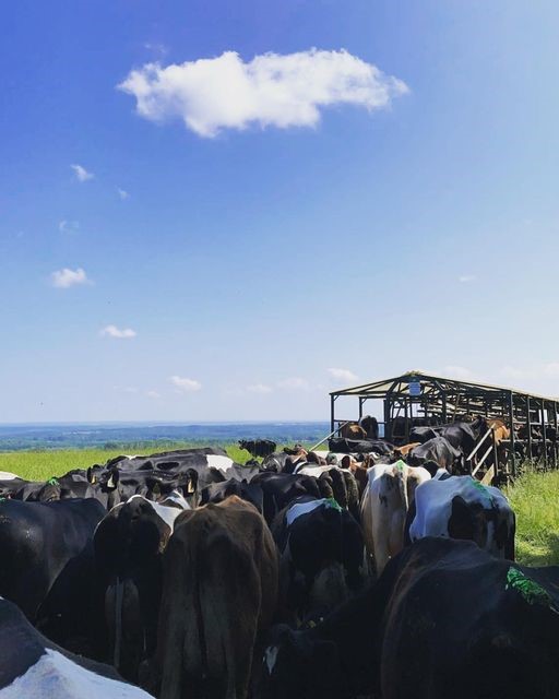 Mobile dairy1