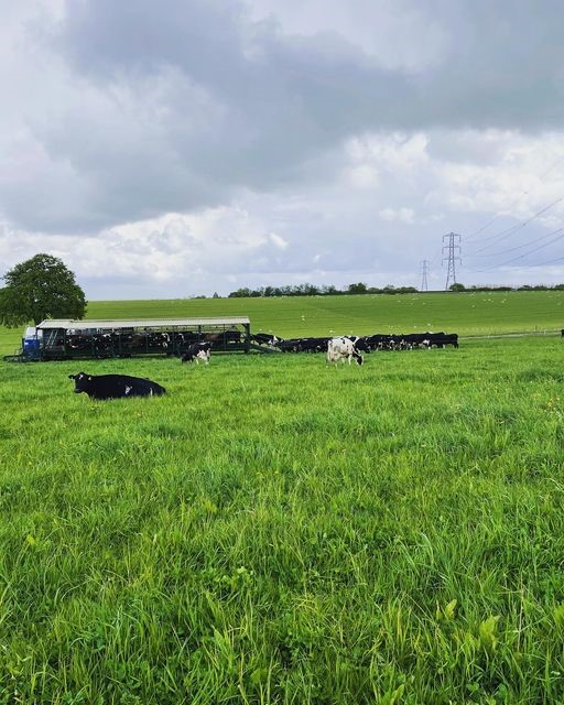Mobile dairy2
