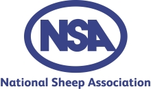 NSA