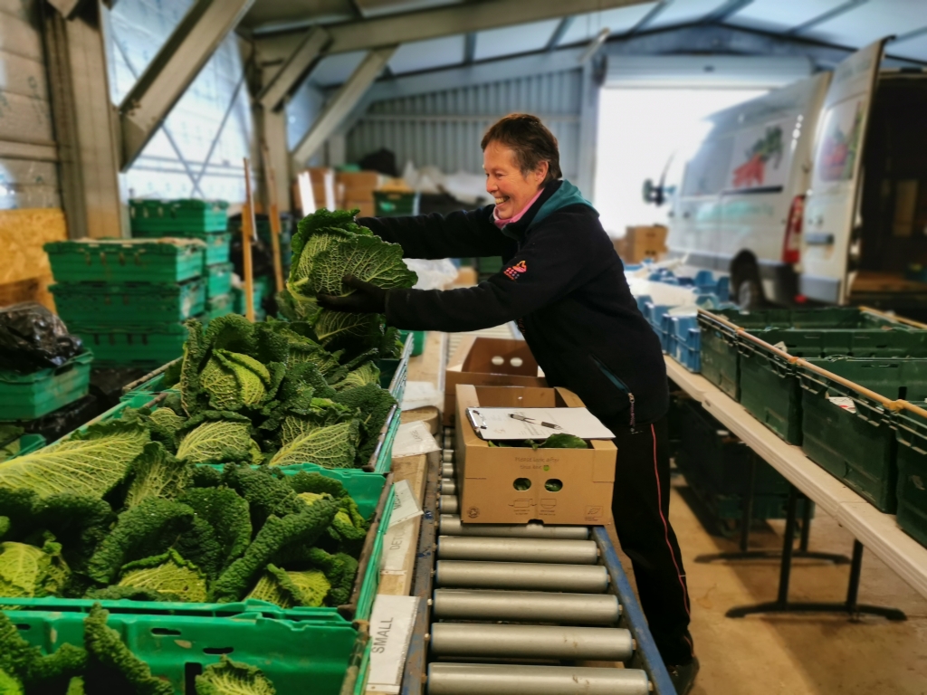 Packing shed