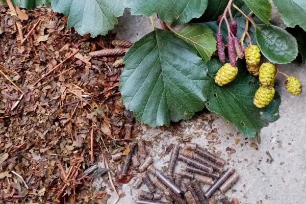 Alder leaves - fresh, dried and in pellet form. Photo: Perennial Green manures Project