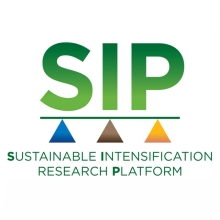 SIP