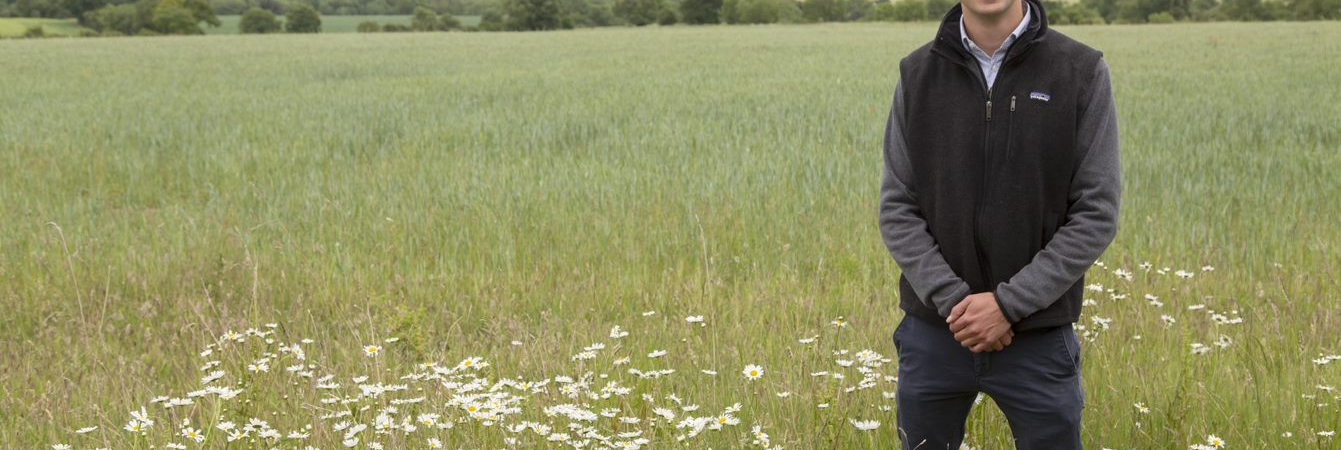 Standing in a field margin of oxeye daisies bordering a field of wheat