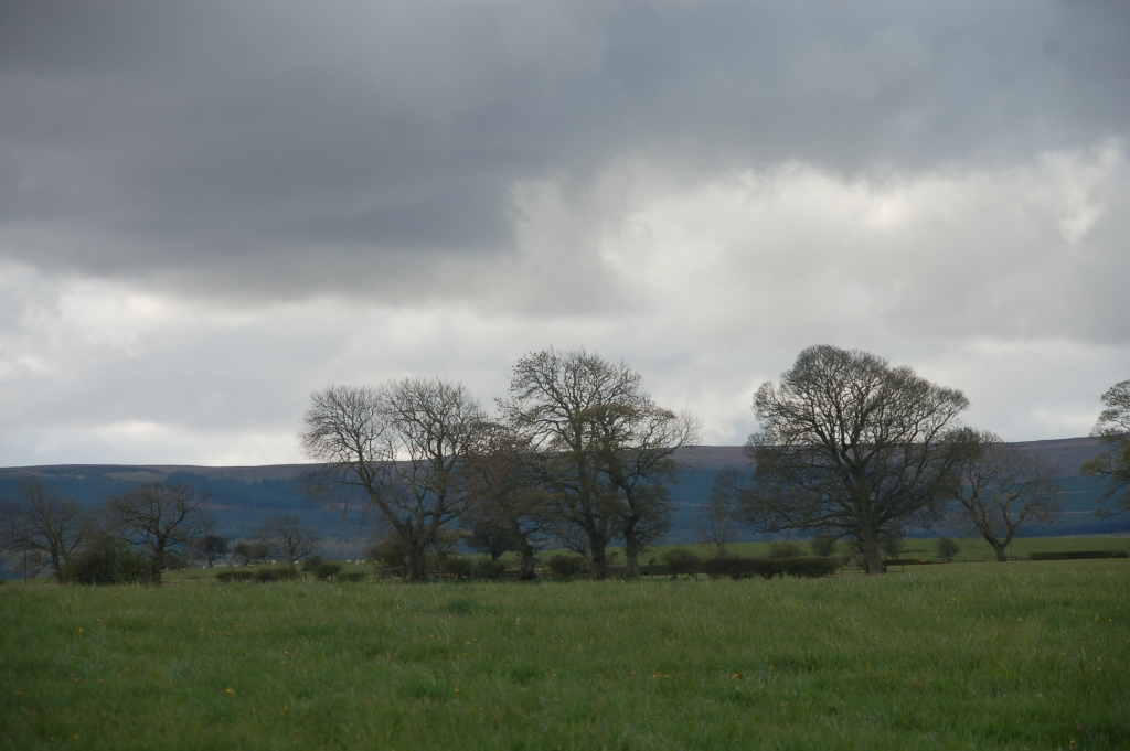 Stormy skies