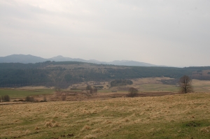 The farm