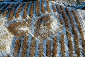 Winter time. Courtesy of Patrick Barbour
