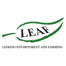 LEAF
