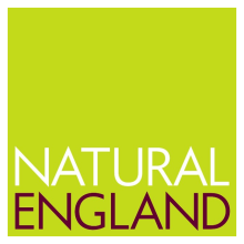 NE