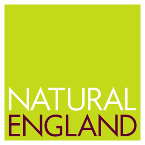 NE
